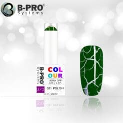 B-PRO COLOUR Gel Polish 370